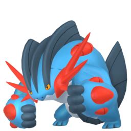 mega swampert type|mega swampert build.